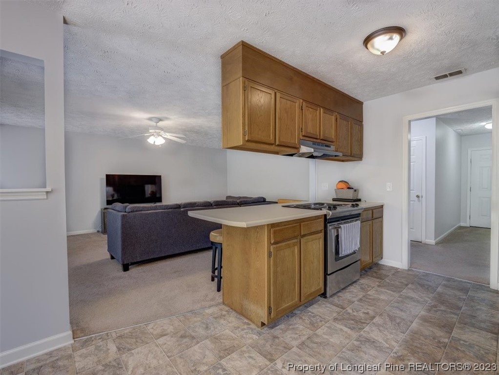 433 Wapiti Drive Spring Lake, NC 28390 - Photo 13 of 31 a kitchen with stainless steel appliances granite countertop a stove and a sink