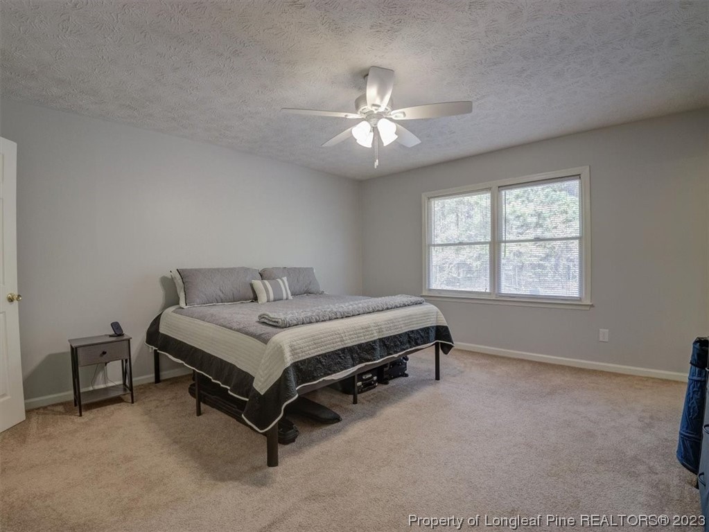 433 Wapiti Drive Spring Lake, NC 28390 - Photo 19 of 31 a bedroom with a bed and a window