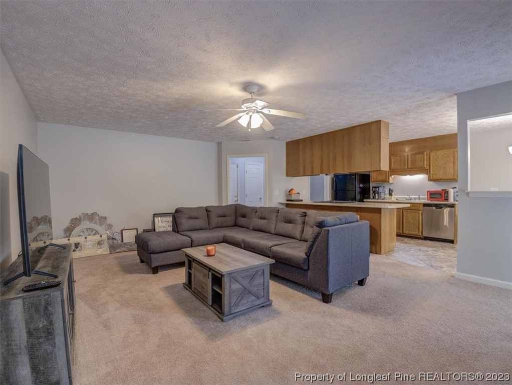 433 Wapiti Drive Spring Lake, NC 28390 - Photo 9 of 31 a living room with furniture and a flat screen tv