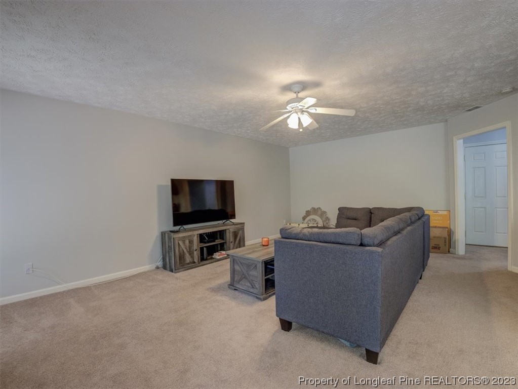 433 Wapiti Drive Spring Lake, NC 28390 - Photo 10 of 31 a living room with furniture and a flat screen tv