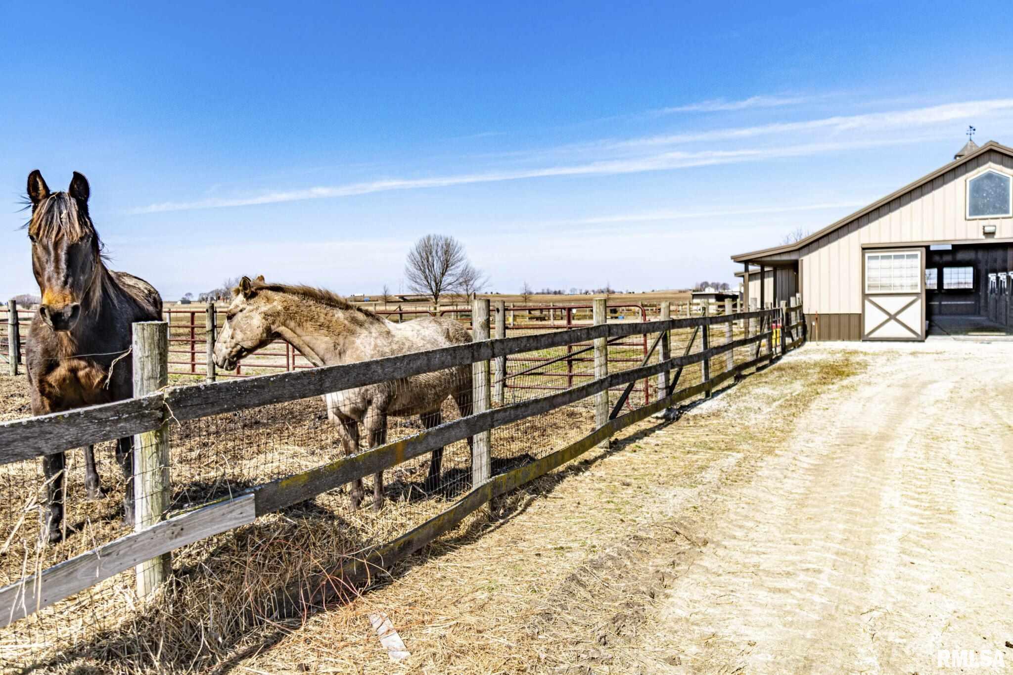 451 Highway 251 Rutland, IL 61358 - Photo 33 of 50