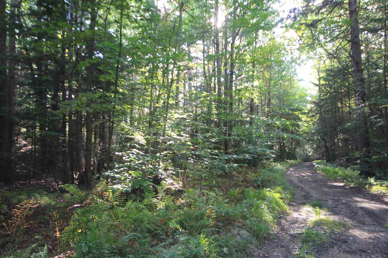 62 Willis Cemetery Road Stratton, VT 05360 - Photo 2 of 11