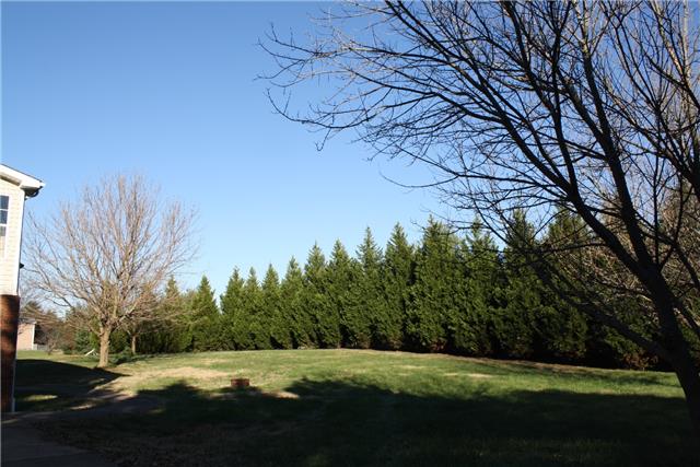 400 Fairway Trail Springfield, TN 37172 - Photo 19 of 20 What a gorgeous yard! You have nearly an acre here! The tree lined backyard is wonderful for privacy!