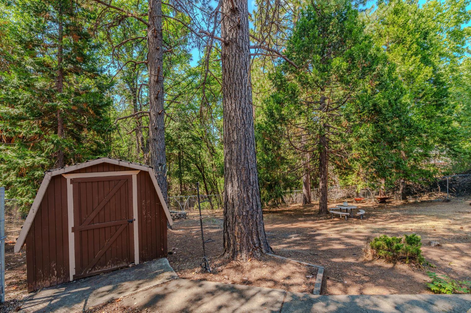 26019 Ridge Drive Pioneer, CA 95666 - Photo 59 of 75 a view of backyard with green space and trees