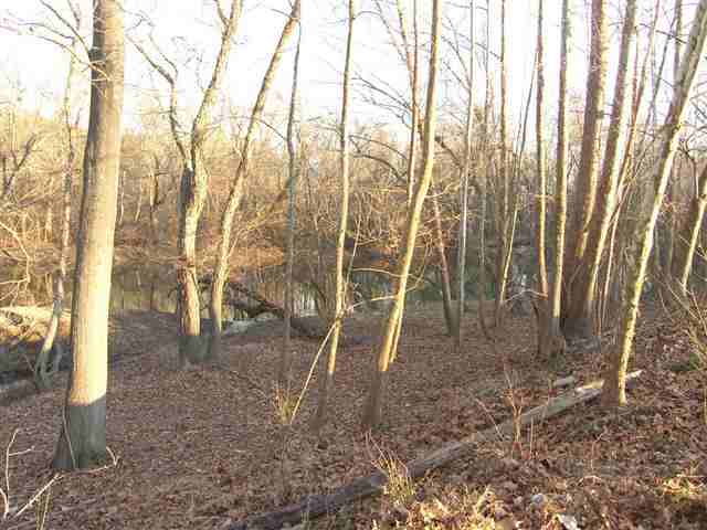 313 Crane Thomas Road, Unit OVER 450' SALUDA RIVER Easley, SC 29640 - Photo 2 of 16 Gallery Image 2