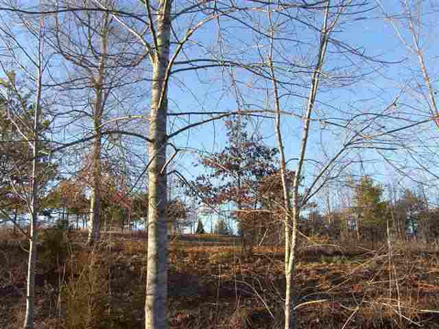 313 Crane Thomas Road, Unit OVER 450' SALUDA RIVER Easley, SC 29640 - Photo 8 of 16 Gallery Image 8