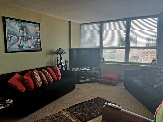 655 West Irving Park Road, Unit 1114 Chicago, IL 60613 - Photo 5 of 14 a living room with furniture and a window