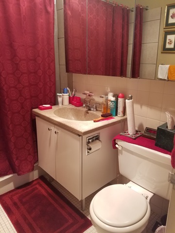 655 West Irving Park Road, Unit 1114 Chicago, IL 60613 - Photo 9 of 14 a bathroom with a sink a toilet and a vanity