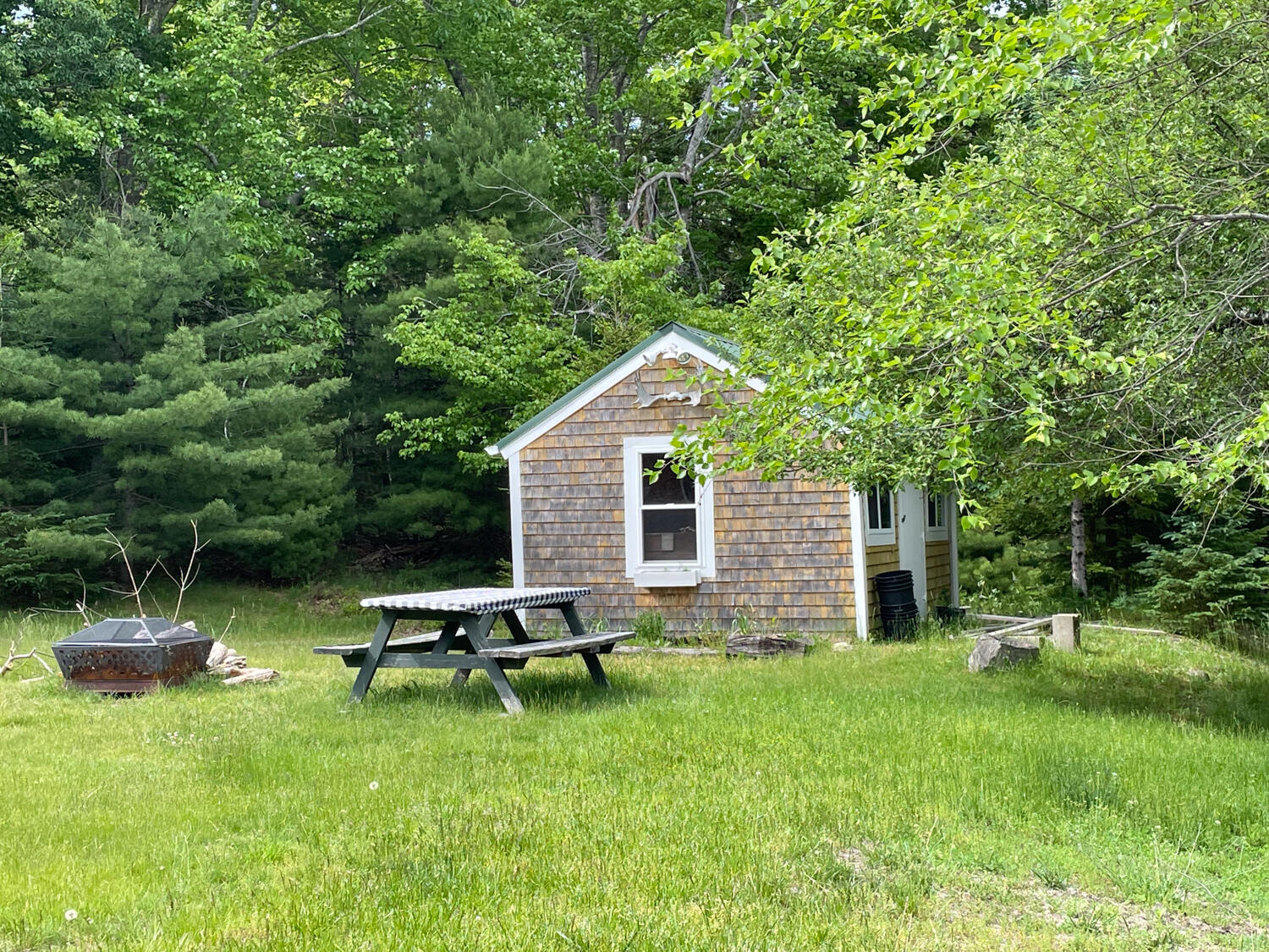 99 Whitney Farm Road Mount Desert, ME 04660 - Photo 10 of 29 shed & fire pit