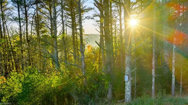 $29,900 | 19 Davis Acres Drive, West Jefferson, NC 28694