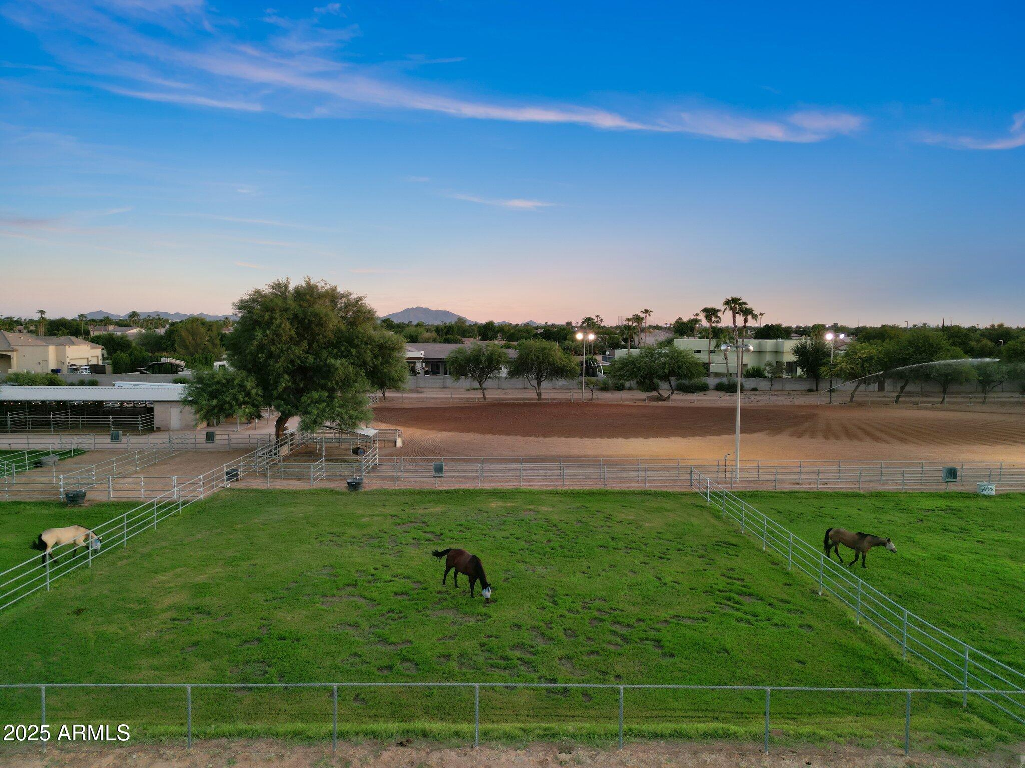 2601 East Mesquite Street Gilbert, AZ 85296 - Photo 47 of 69 Pasture