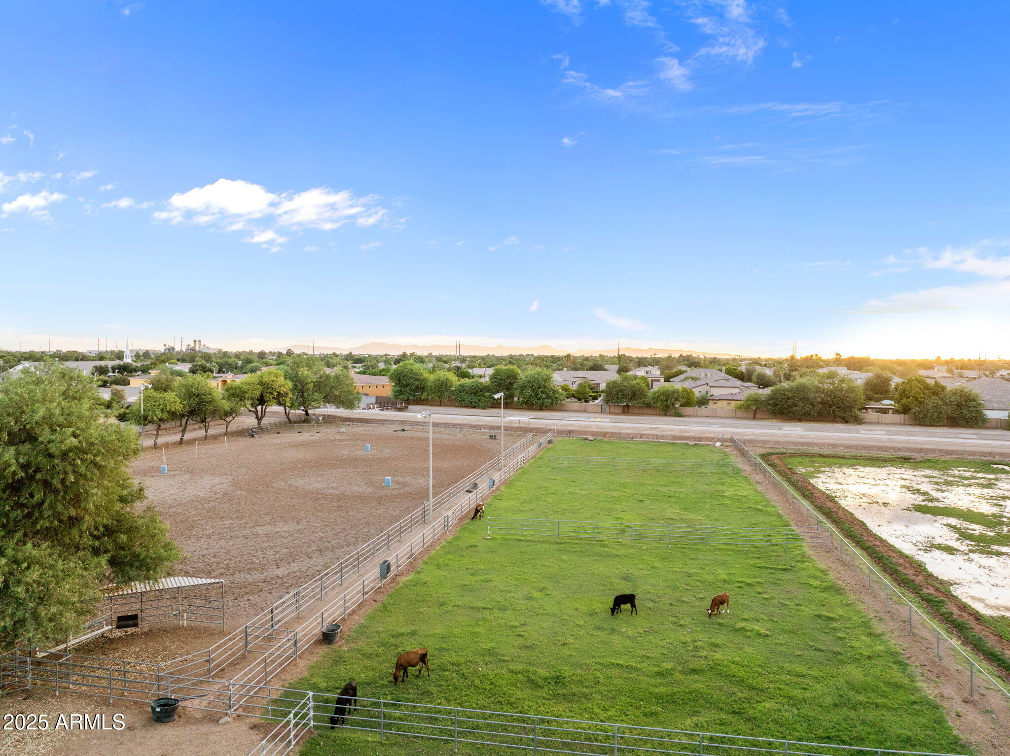 2601 East Mesquite Street Gilbert, AZ 85296 - Photo 53 of 69 Lush green pasture