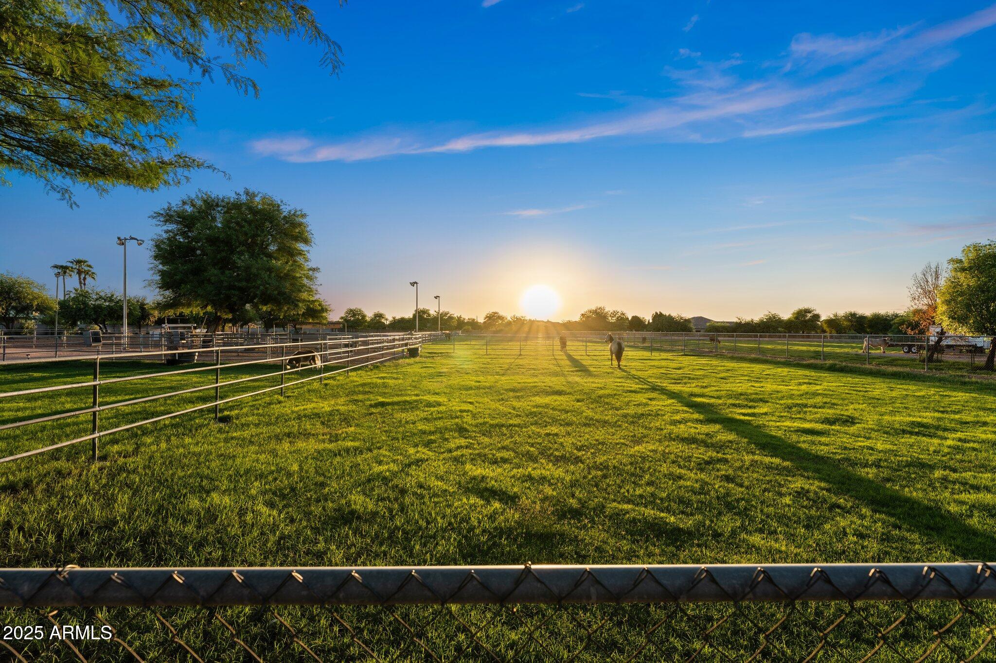 2601 East Mesquite Street Gilbert, AZ 85296 - Photo 63 of 69 Pasture