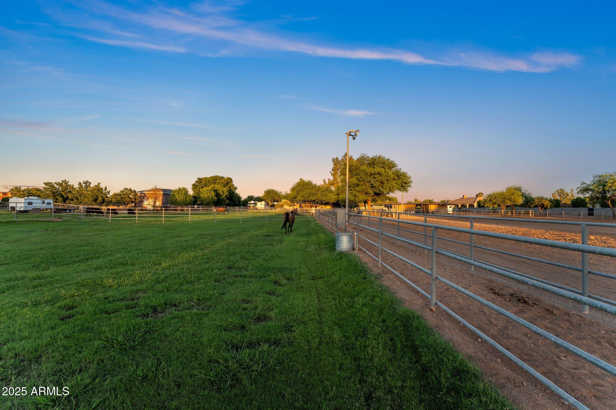 2601 East Mesquite Street Gilbert, AZ 85296 - Photo 65 of 69 Pasture