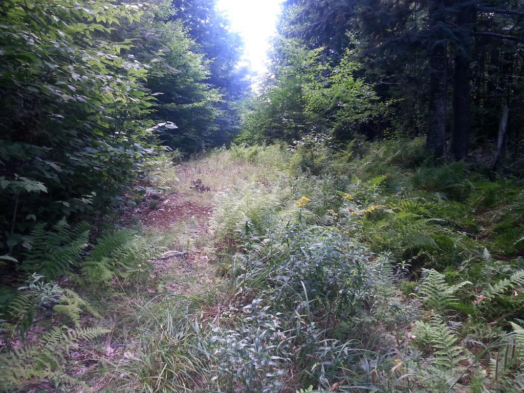 0 Old Rindge Road Fitzwilliam, NH 03447 - Photo 2 of 4