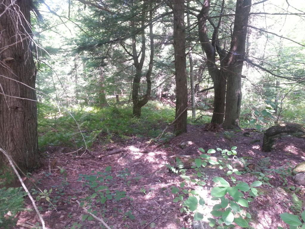 0 Old Rindge Road Fitzwilliam, NH 03447 - Photo 3 of 4