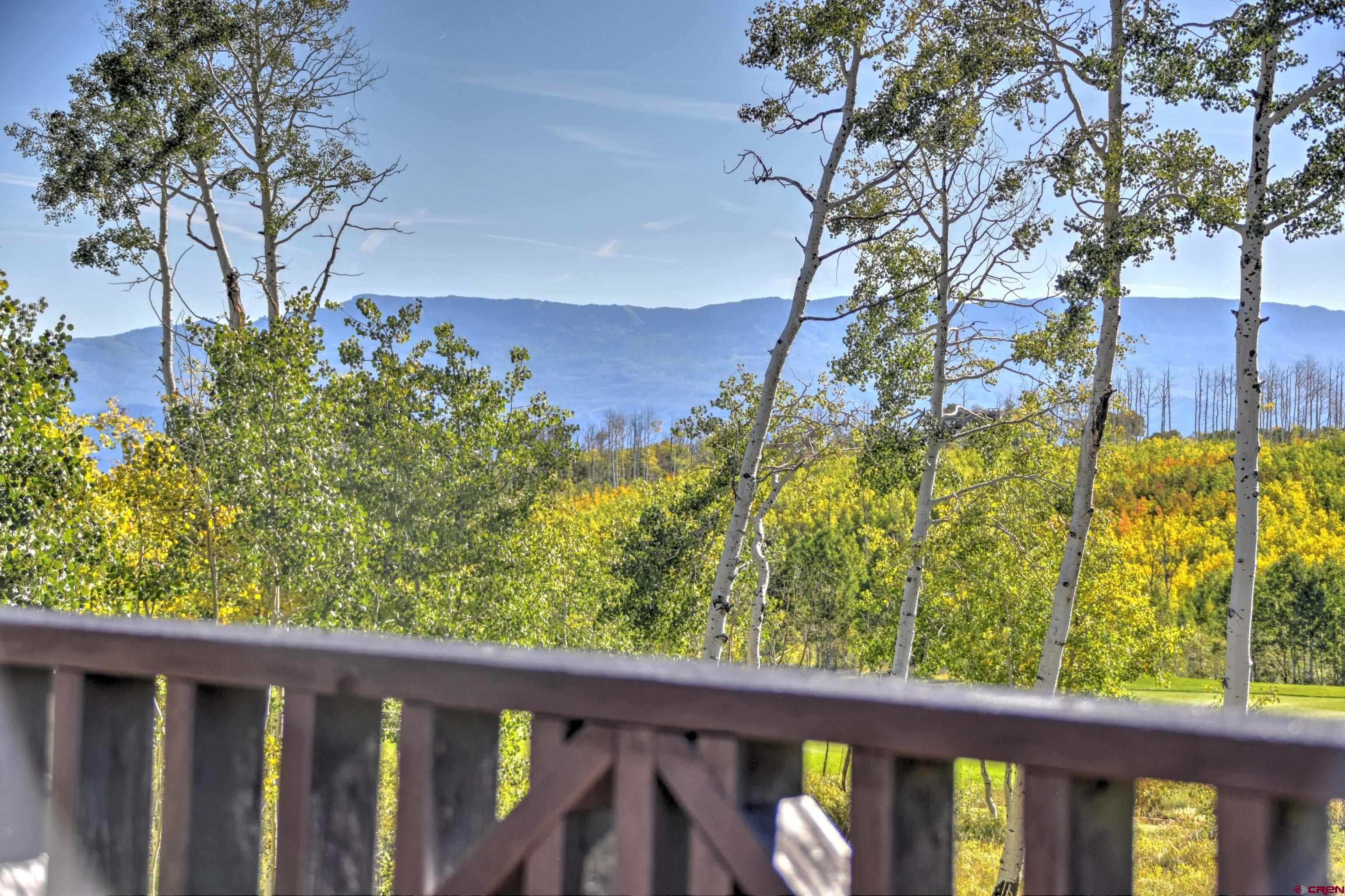 302 Maverick Lane Montrose, CO 81403 - Photo 3 of 35 a view of a garden