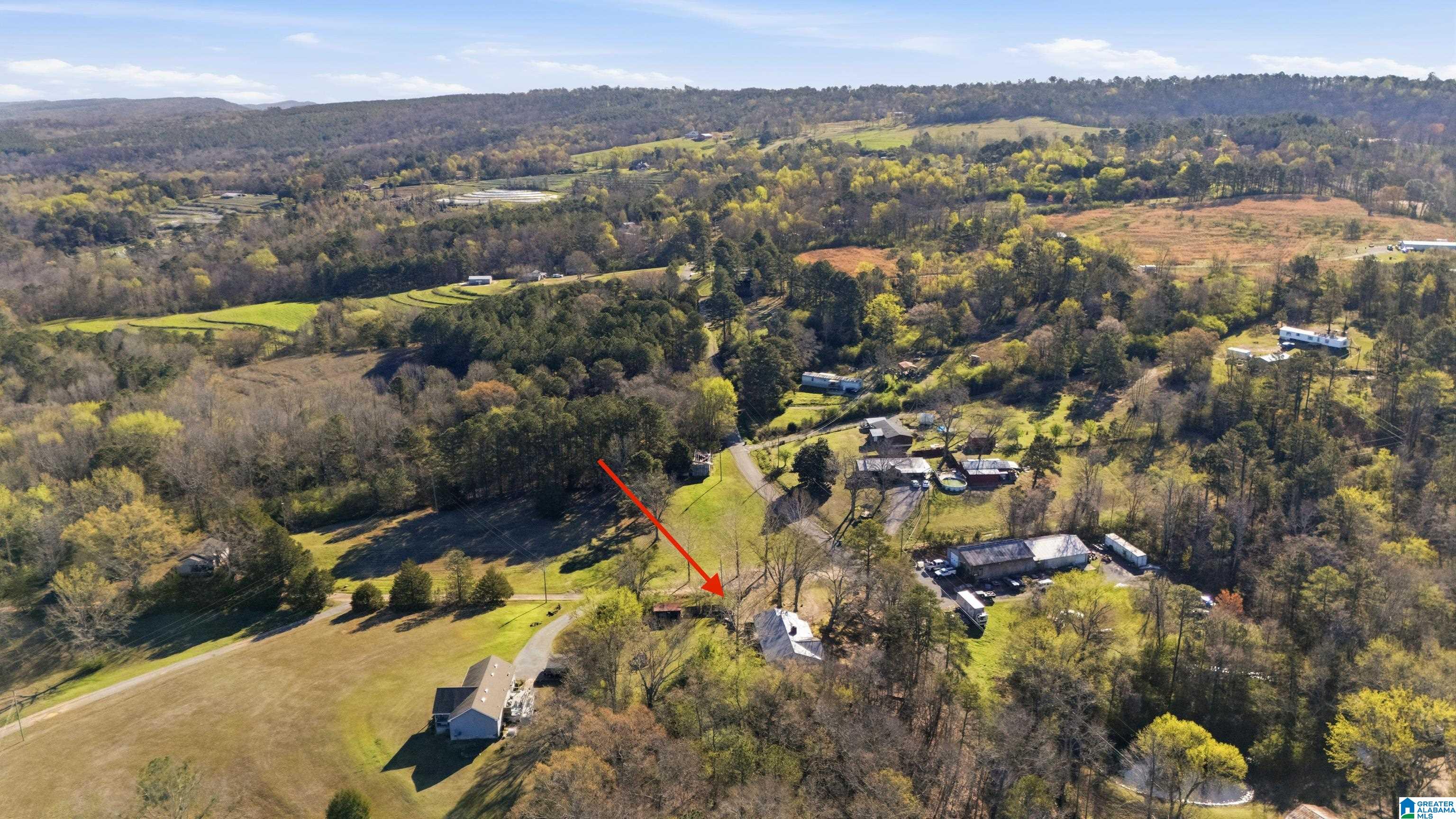 3710 Ebell Road Oneonta, AL 35121 - Photo 34 of 41 Gallery Image 34