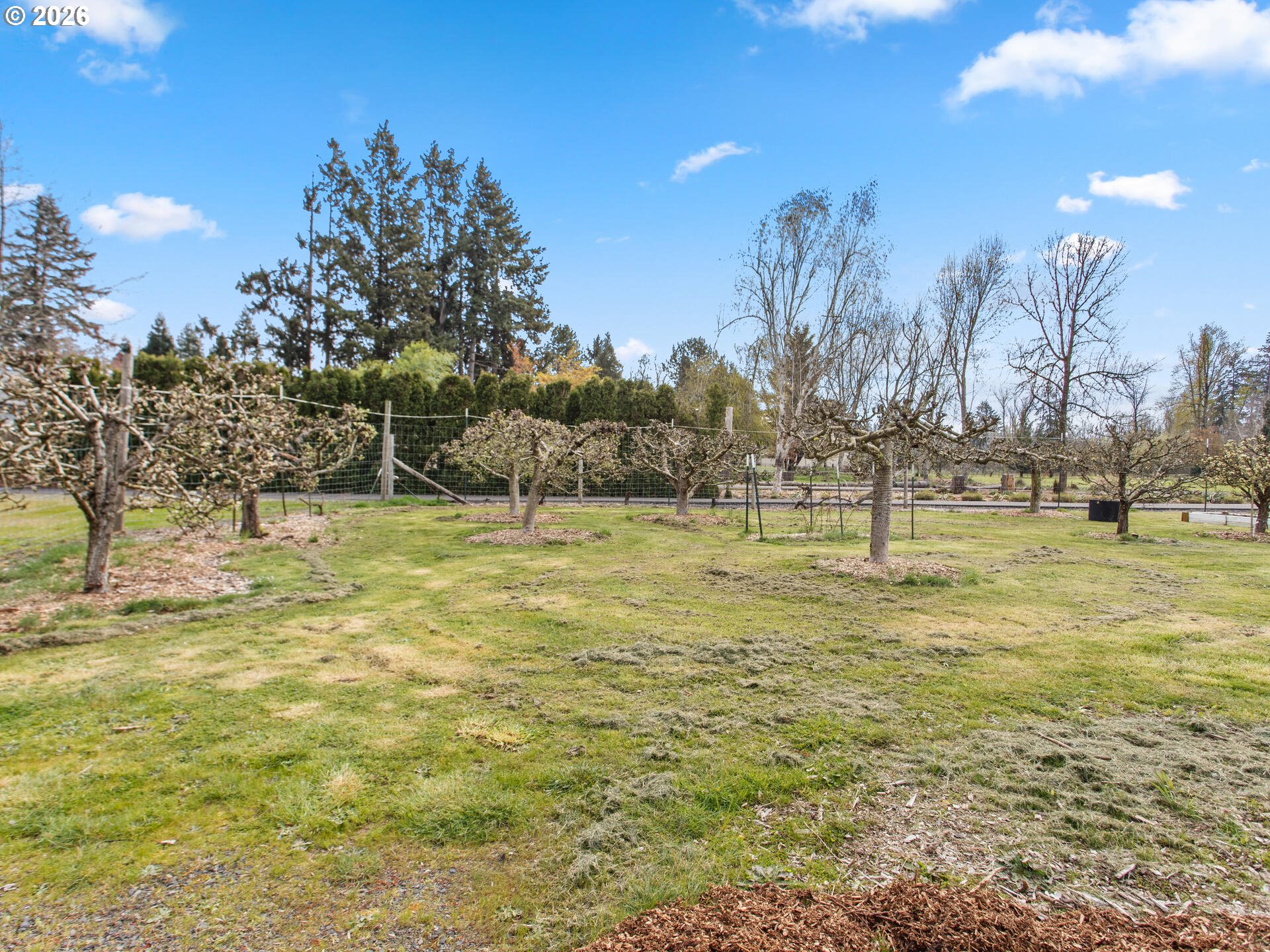 12063 Golf Lane Southeast Sublimity, OR 97385 - Photo 46 of 48