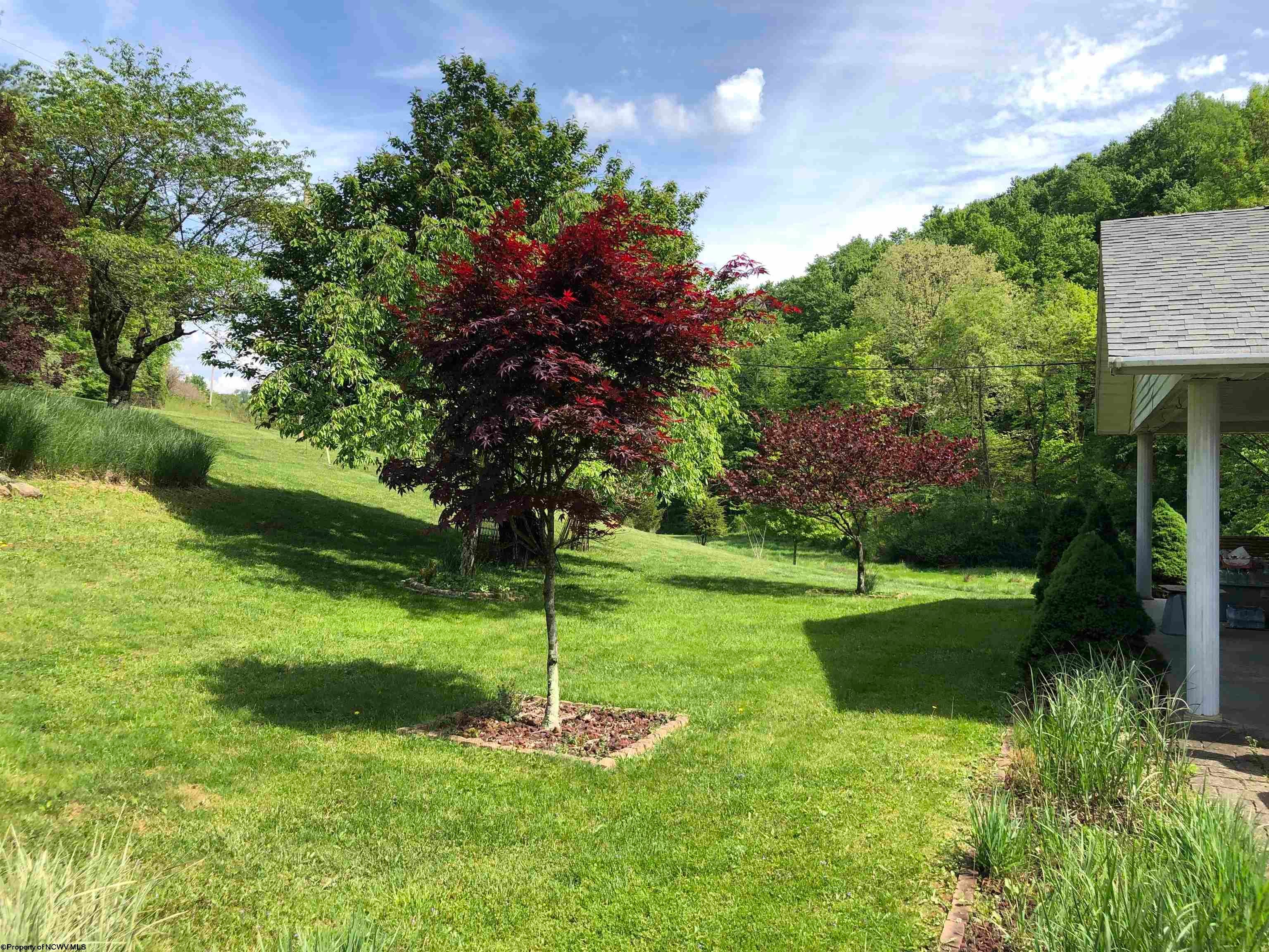 371 Carper Road Buckhannon, WV 26201 - Photo 28 of 30 Gallery Image 28