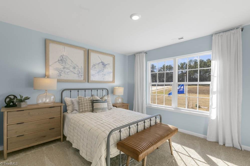131 Pepper Tree Road Stokesdale, NC 27357 - Photo 23 of 31 Representative photo - not actual home