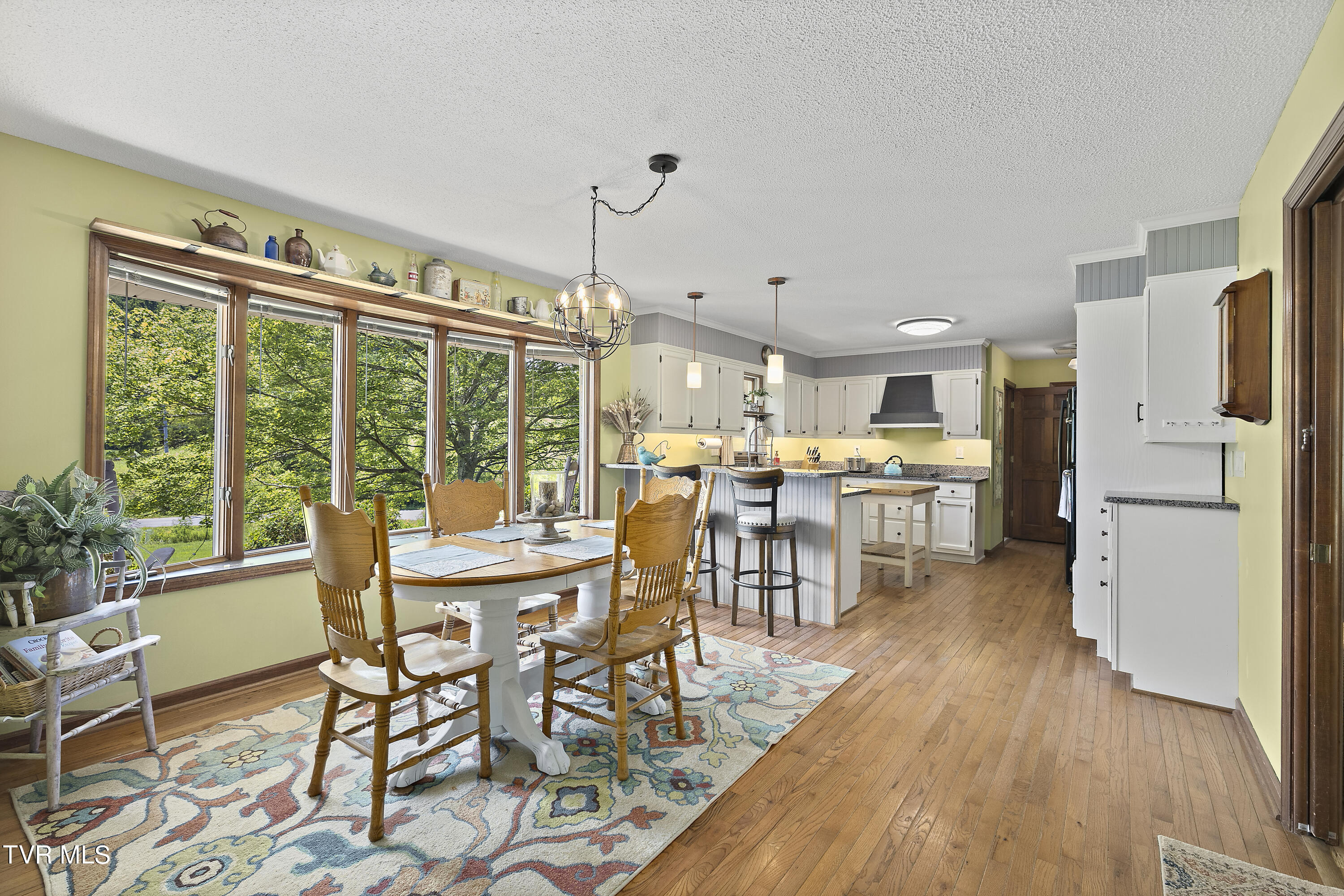 120 Rocky Branch Road Elizabethton, TN 37643 - Photo 40 of 73 128A5705