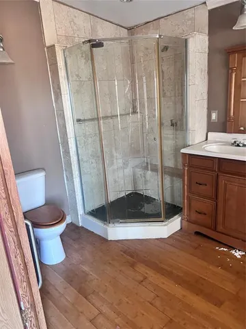 a bathroom with a shower and a toilet
