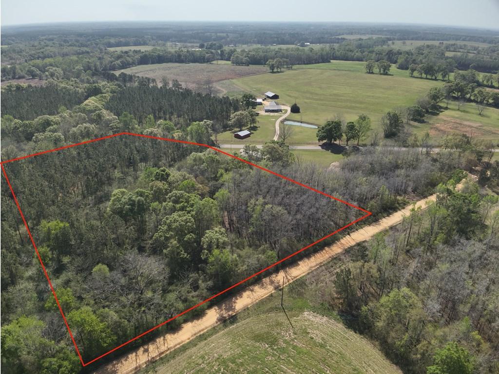 Lot 3 County Road Slocomb, AL 36375 - Photo 2 of 18