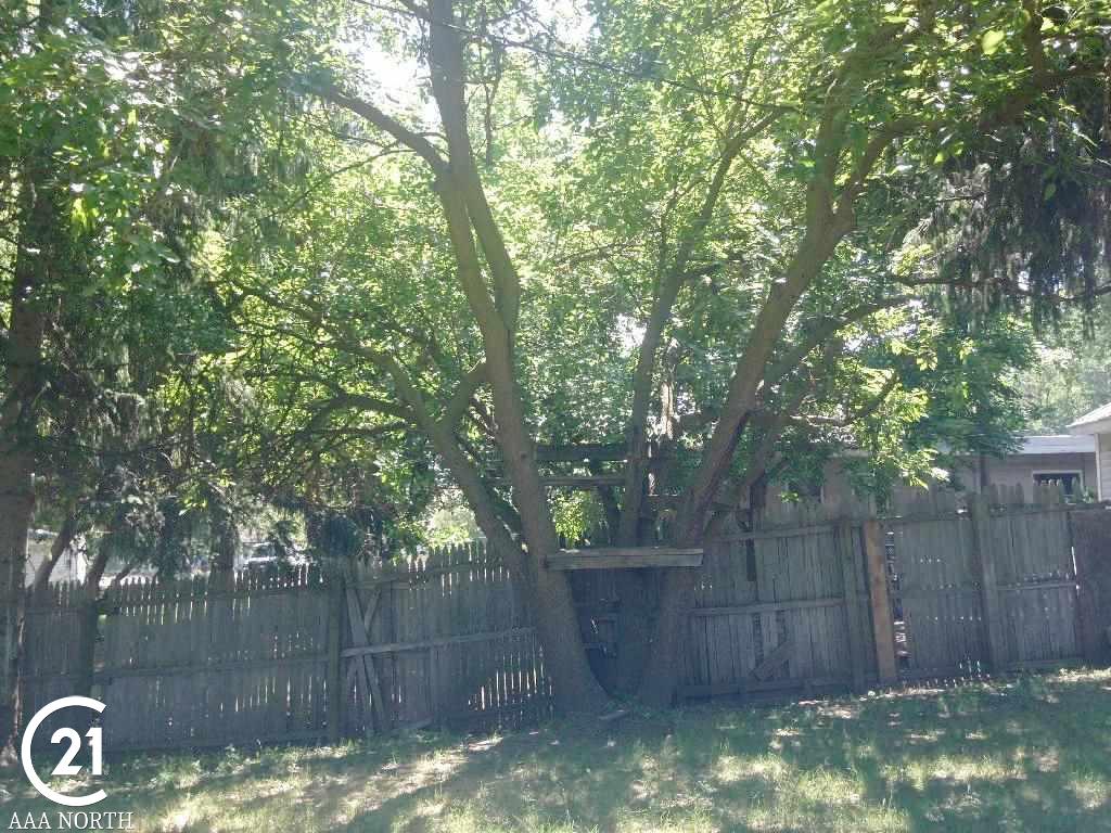 295 South Bailey Street Romeo, MI 48065 - Photo 18 of 23 backyard