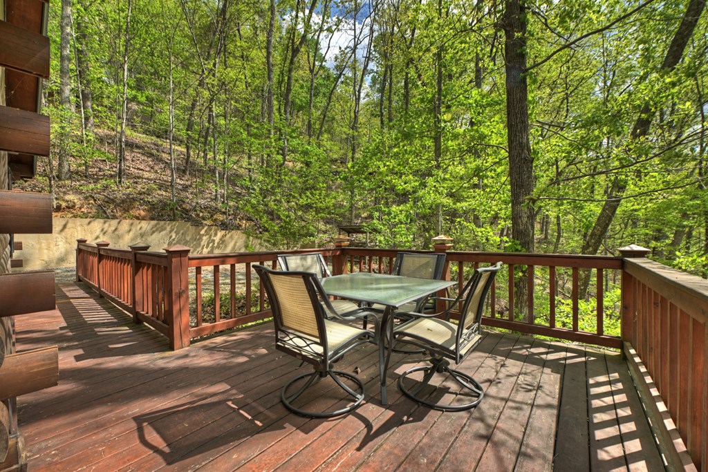 660 Ripshin Mountain Road Blue Ridge, GA 30513 - Photo 23 of 40