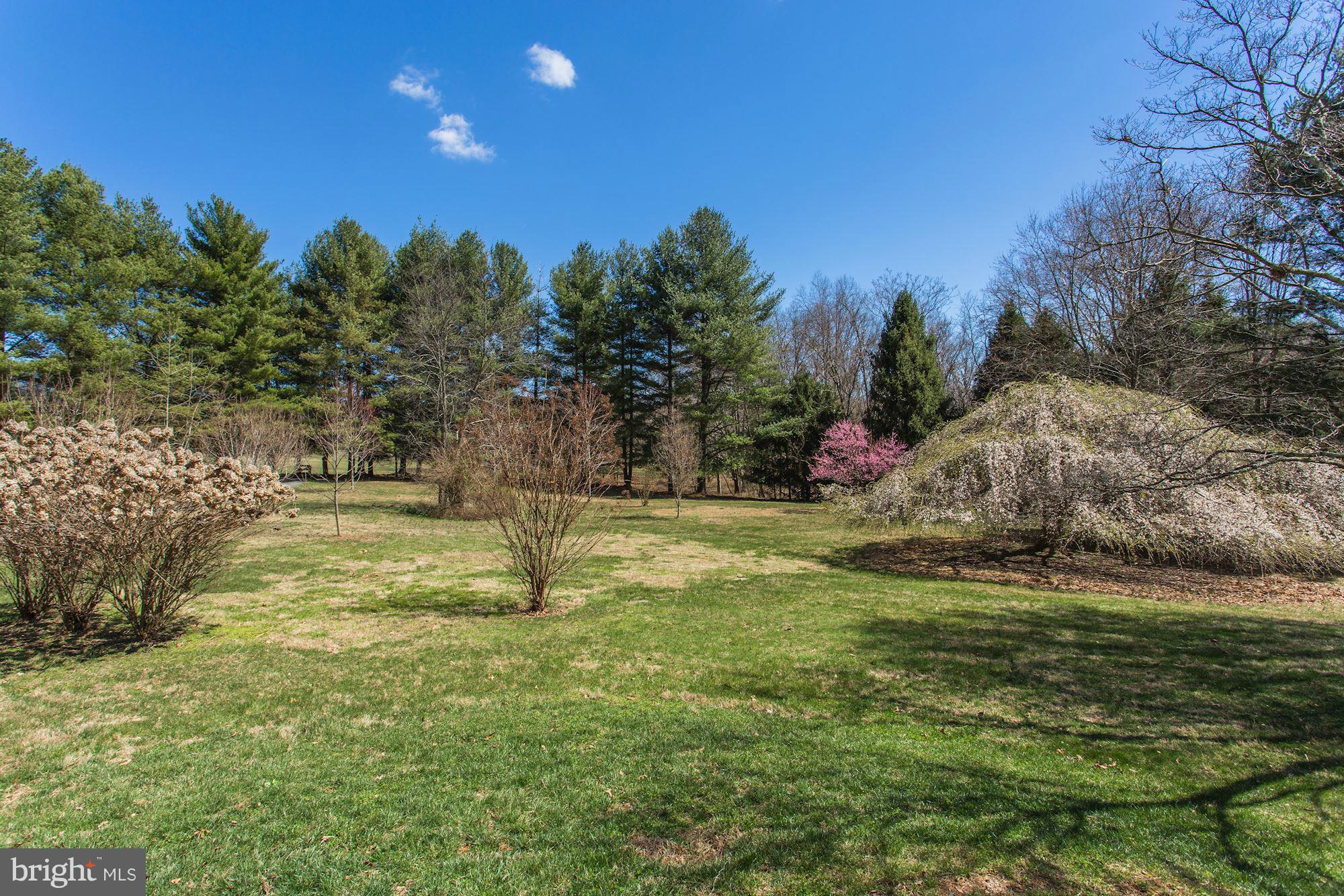 8967 Woodward Road Marshall, VA 20115 - Photo 28 of 29 Front yard