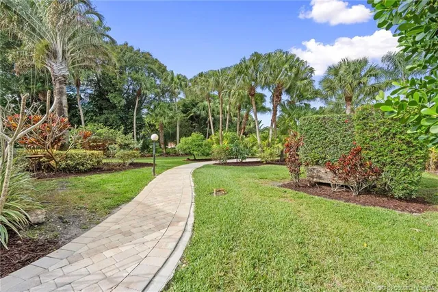 a view of a park with large trees