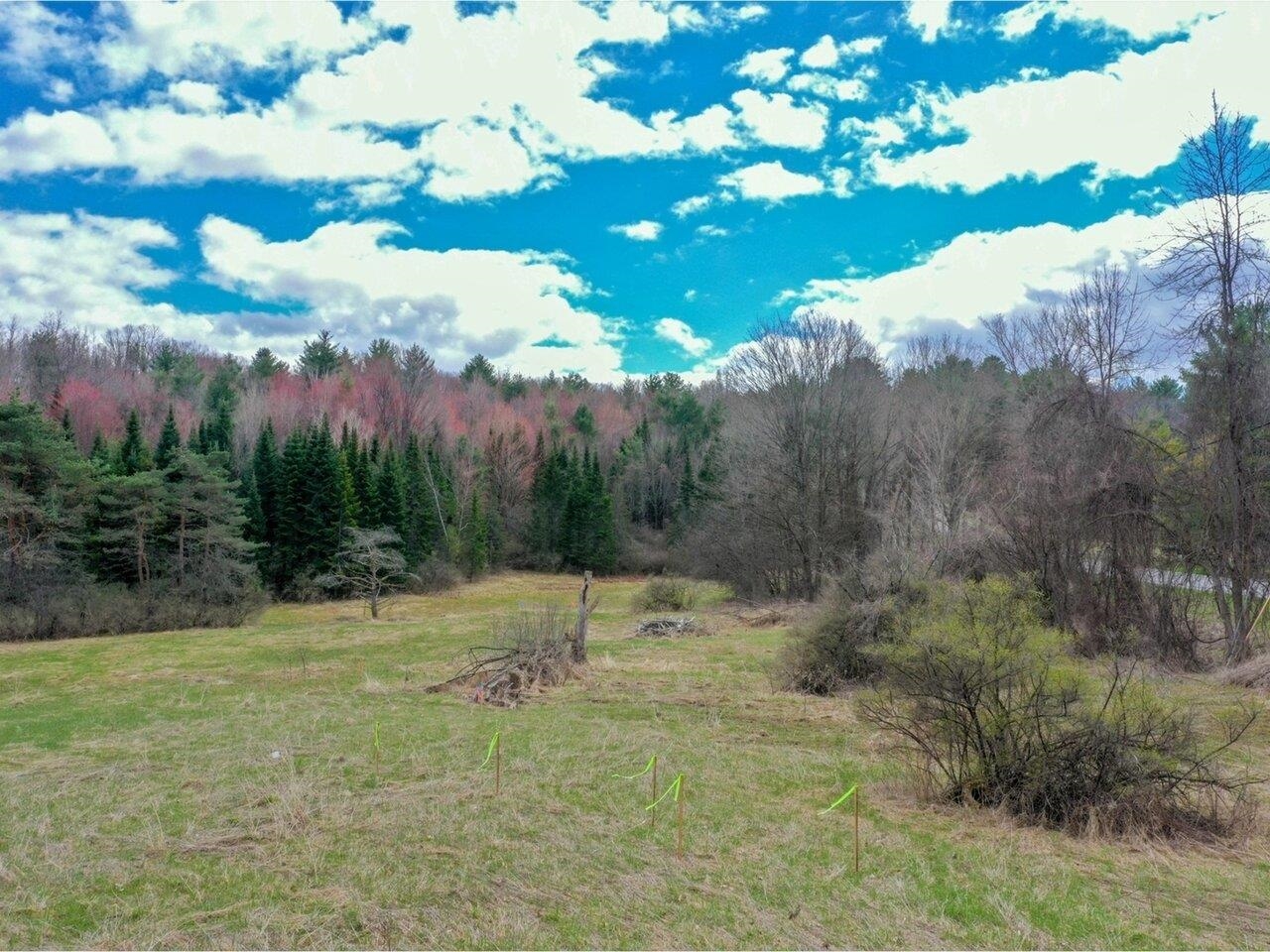 Lot #2 Mount Philo Road, Unit 2 Charlotte, VT 05445 - Photo 12 of 14 Gallery Image 12