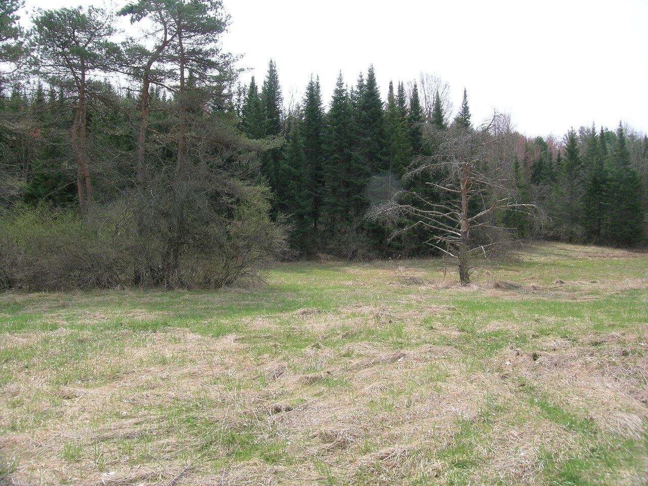 Lot #2 Mount Philo Road, Unit 2 Charlotte, VT 05445 - Photo 3 of 14 Gallery Image 3