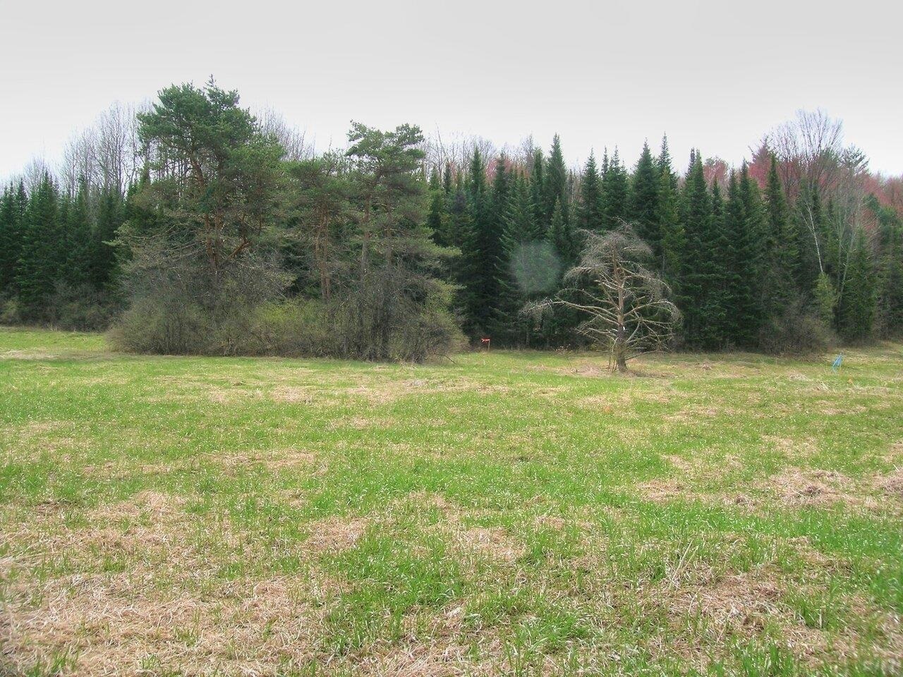 Lot #2 Mount Philo Road, Unit 2 Charlotte, VT 05445 - Photo 7 of 14 Gallery Image 7