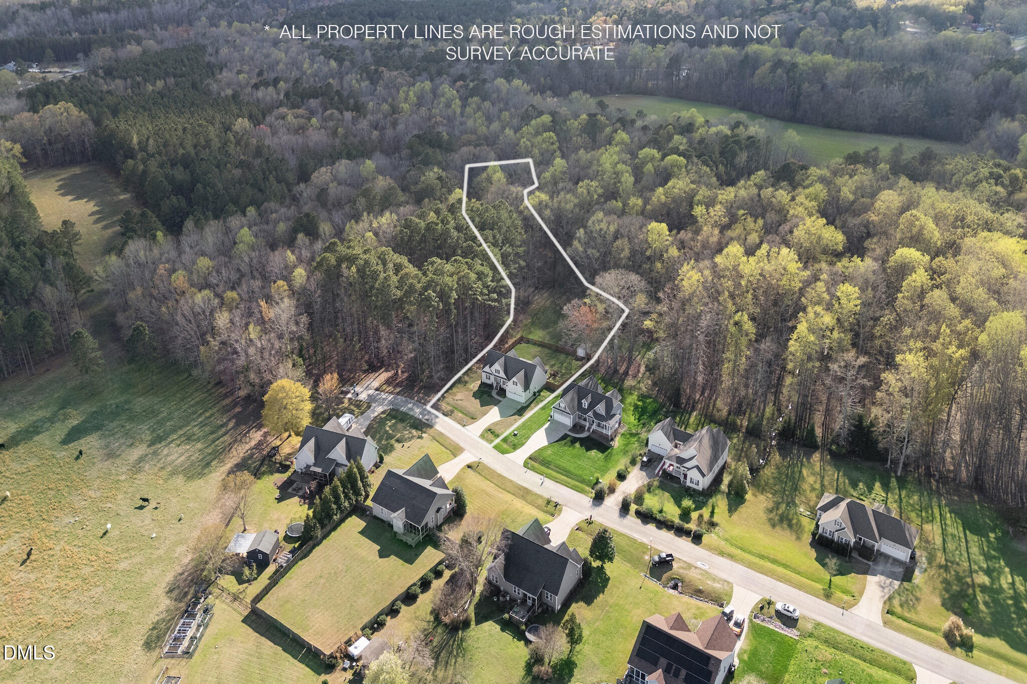 7340 Shady Stroll Lane Willow Spring, NC 27592 - Photo 66 of 67 Property Lines