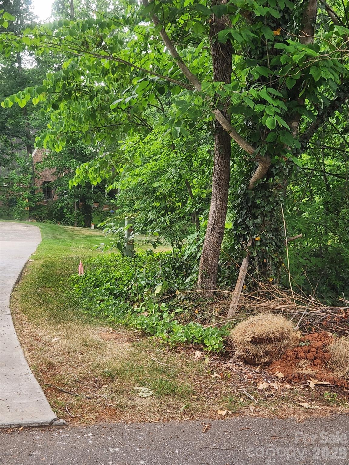 205 7th St Place Northeast Conover, NC 28613 - Photo 1 of 5