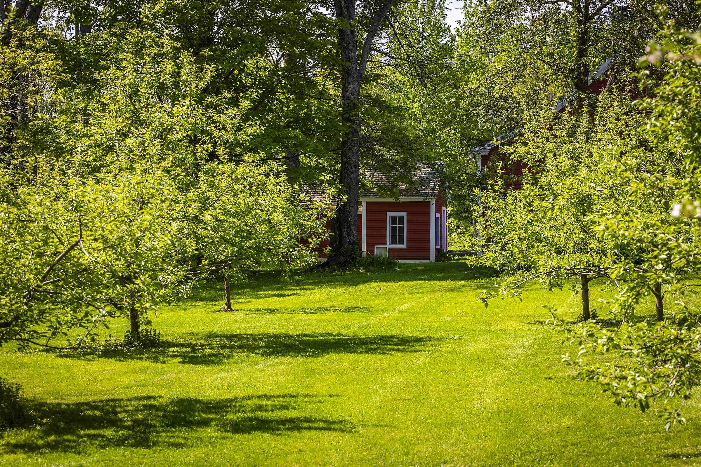 1497 Bowman Road Barnard, VT 05032 - Photo 24 of 60