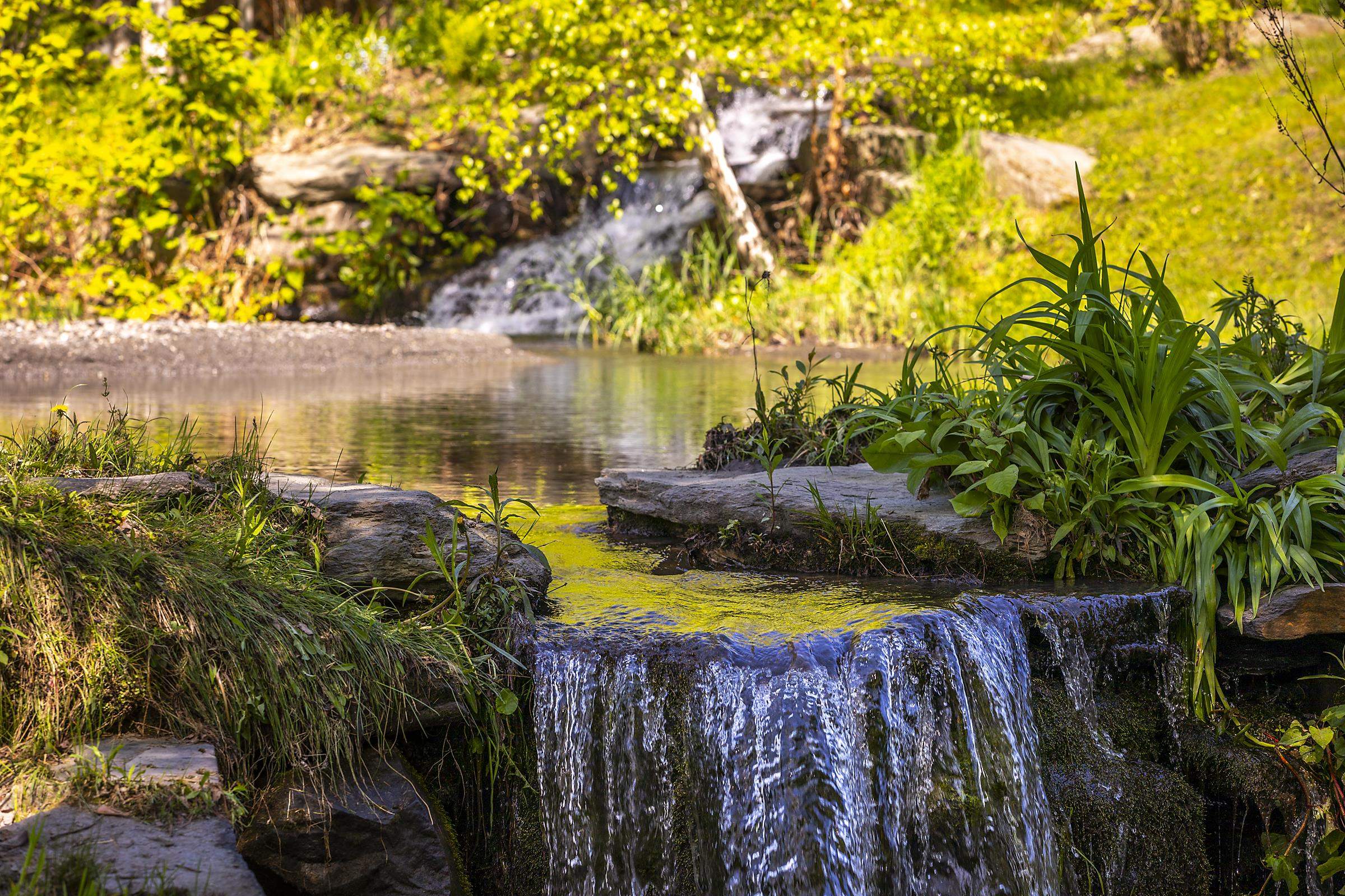 1497 Bowman Road Barnard, VT 05032 - Photo 9 of 60