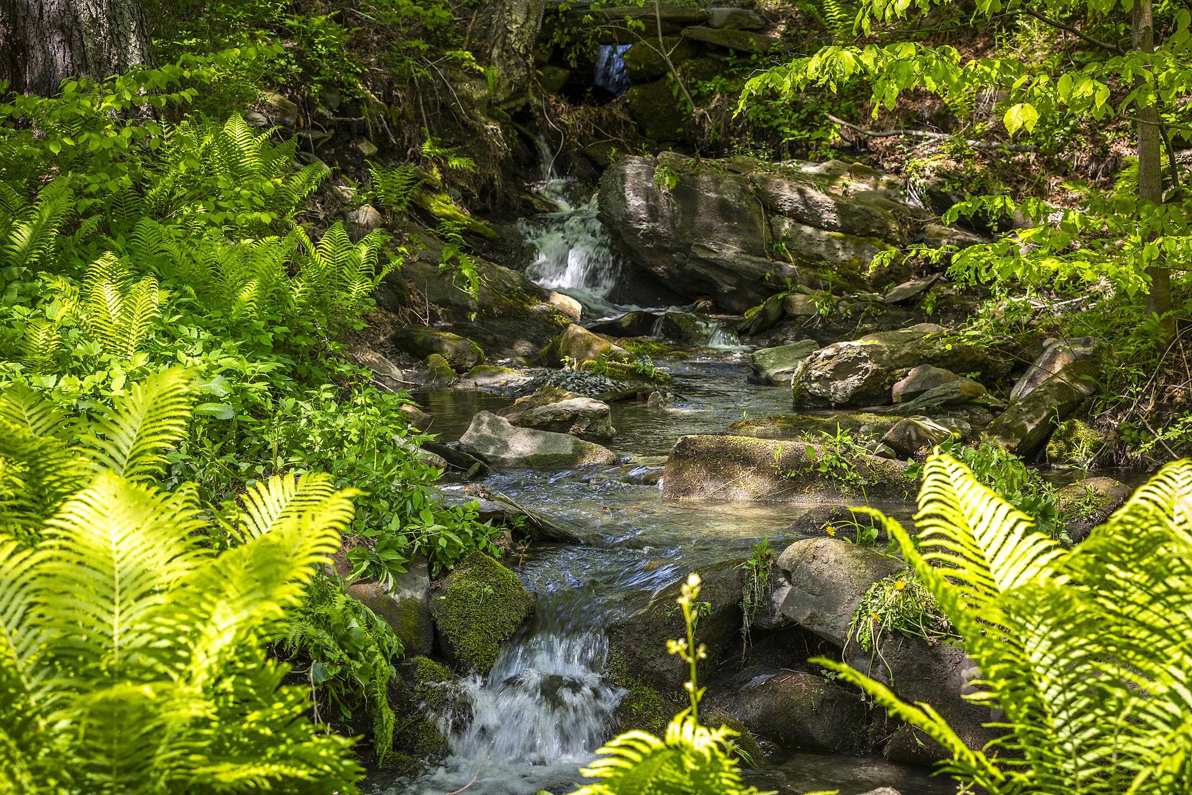 1497 Bowman Road Barnard, VT 05032 - Photo 10 of 60