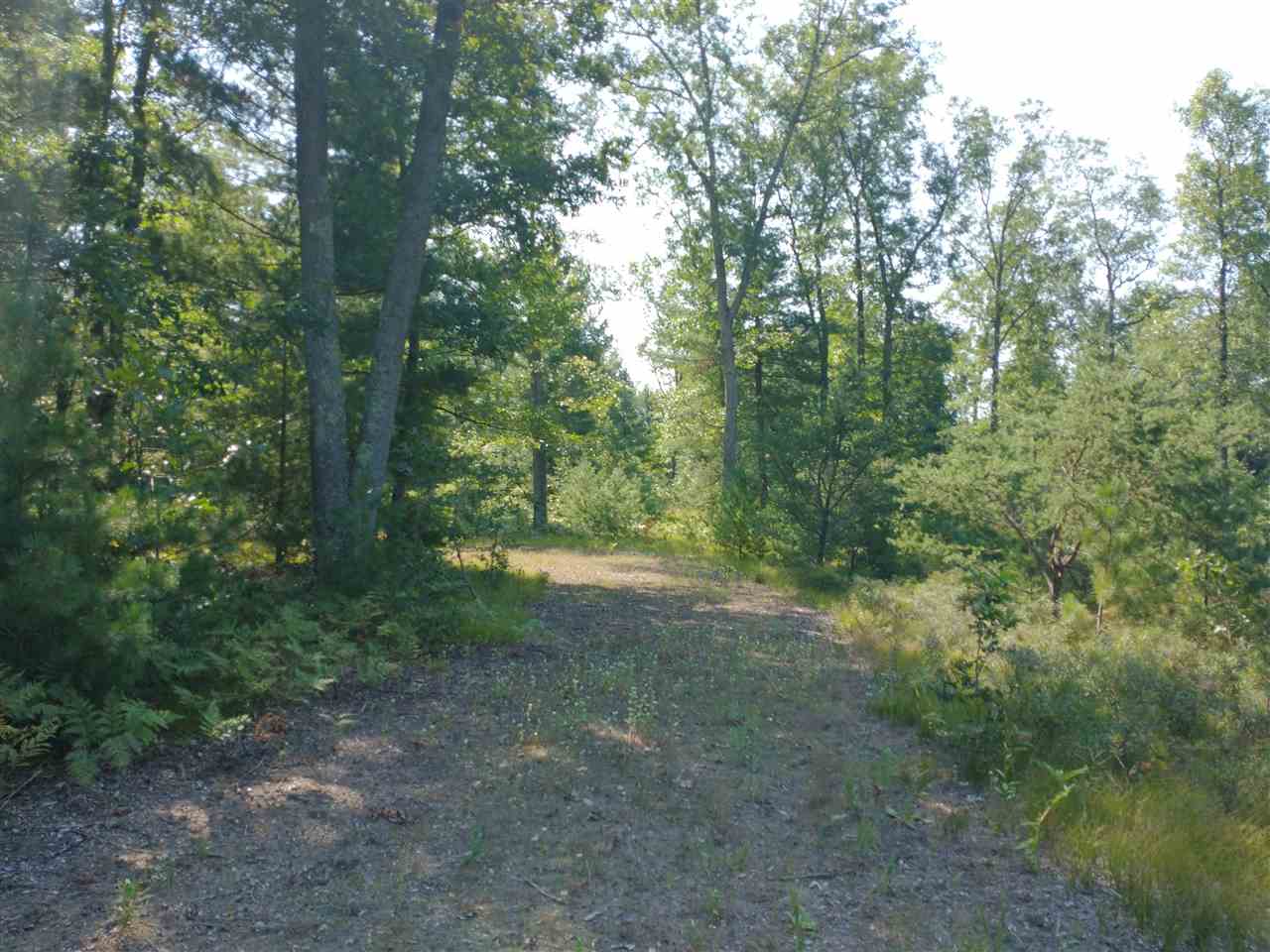 V/l Skocelas Road North Manistee, MI 49660 - Photo 6 of 12