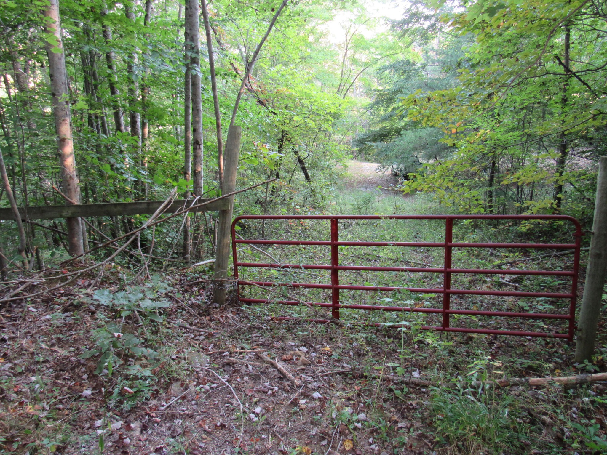 0 45 Ac Lawson Road Huntsville, TN 37756 - Photo 20 of 25 Gallery Image 20
