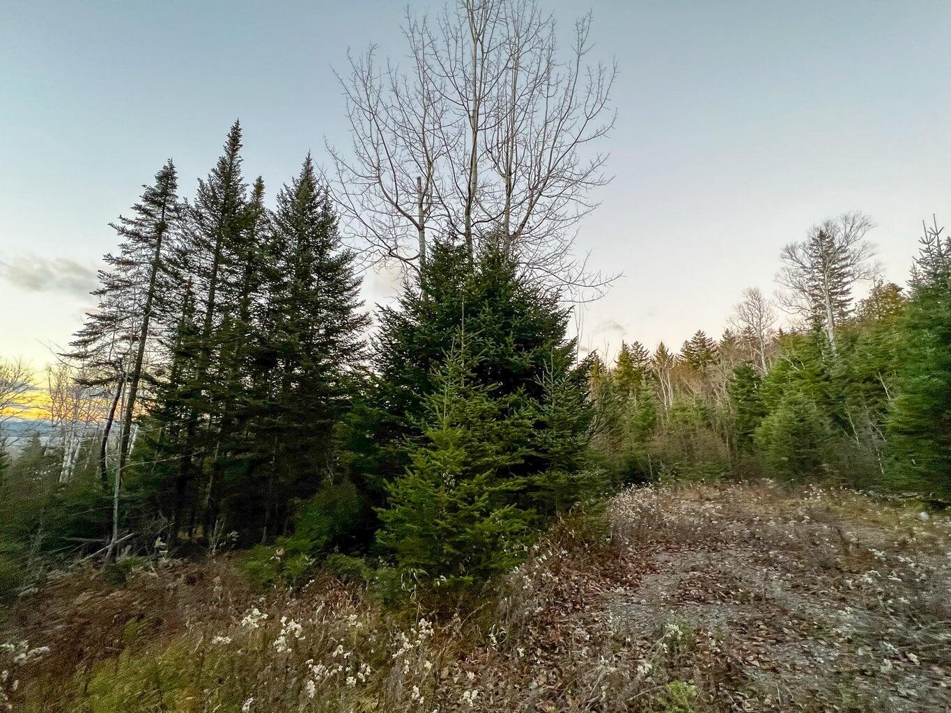 Lot 16 Mill Brook Road Sandy River Plt, ME 04970 - Photo 14 of 44 20221110164132568184000000-o