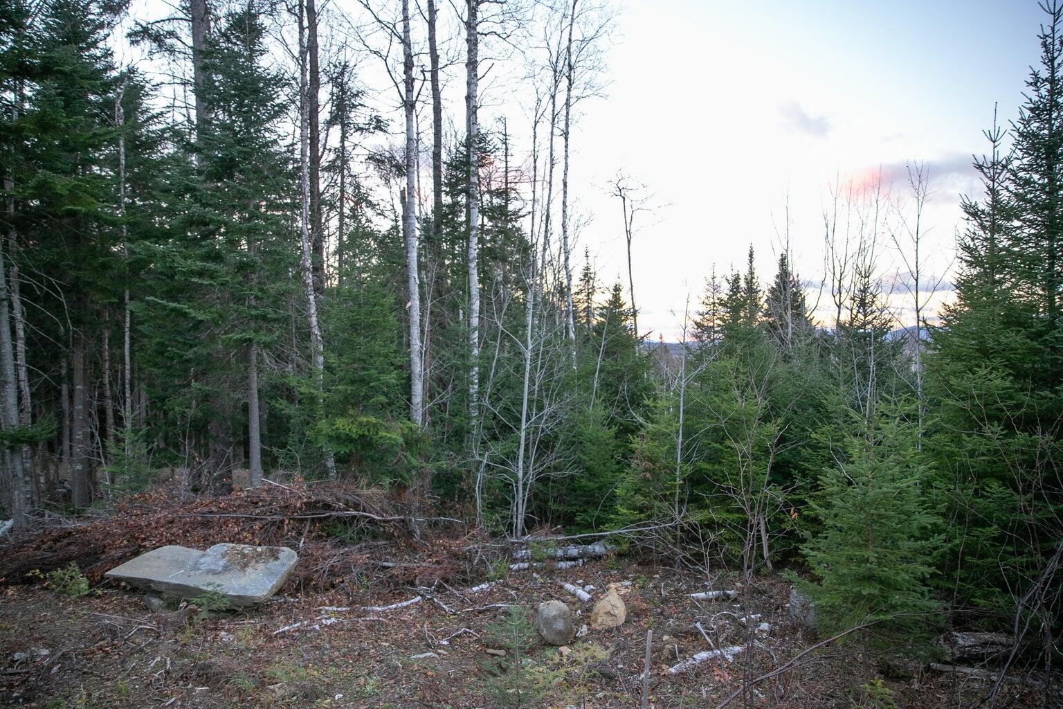 Lot 16 Mill Brook Road Sandy River Plt, ME 04970 - Photo 15 of 44 20221110162903811790000000-o