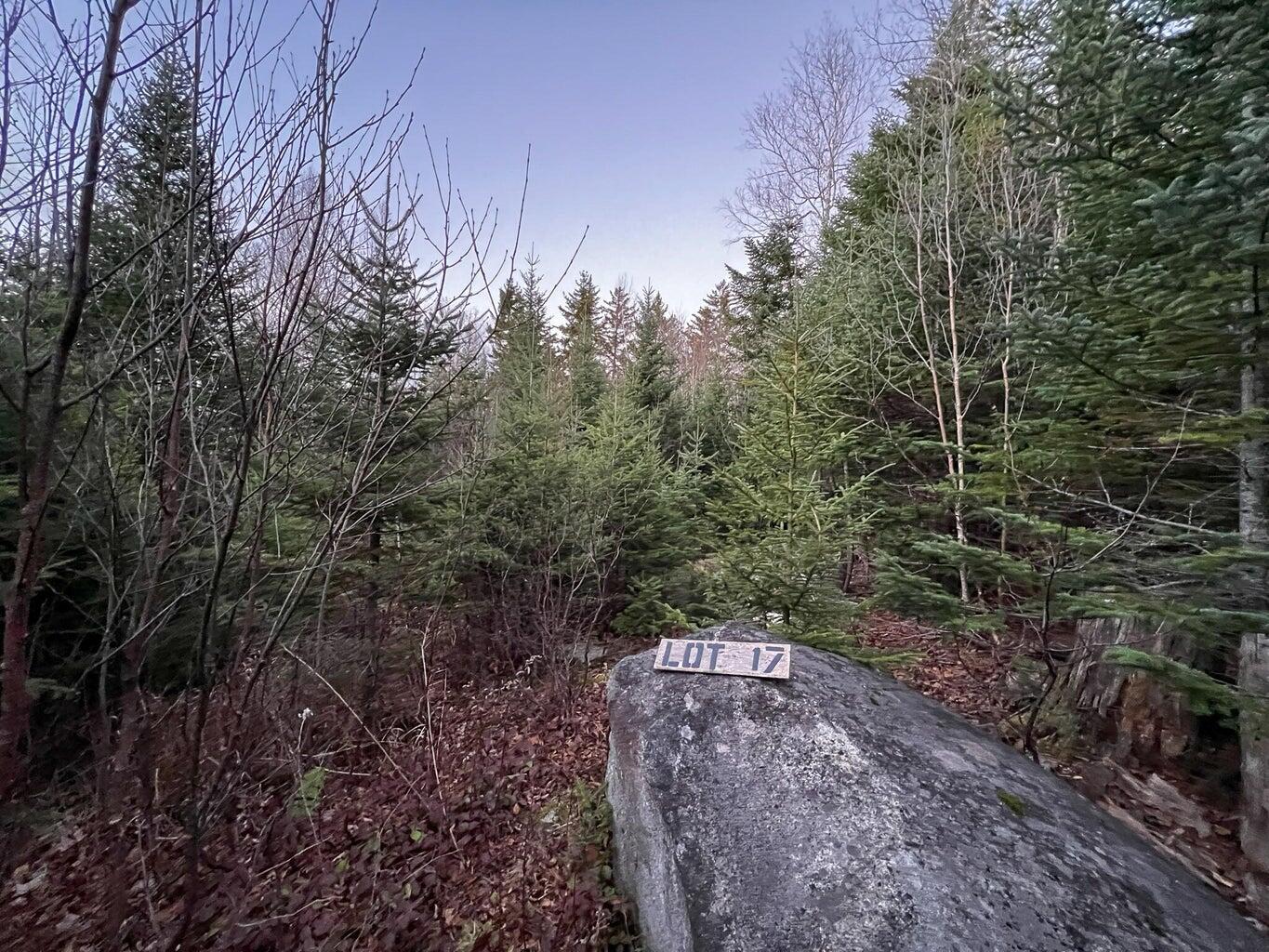Lot 16 Mill Brook Road Sandy River Plt, ME 04970 - Photo 16 of 44 20221110164135762481000000-o