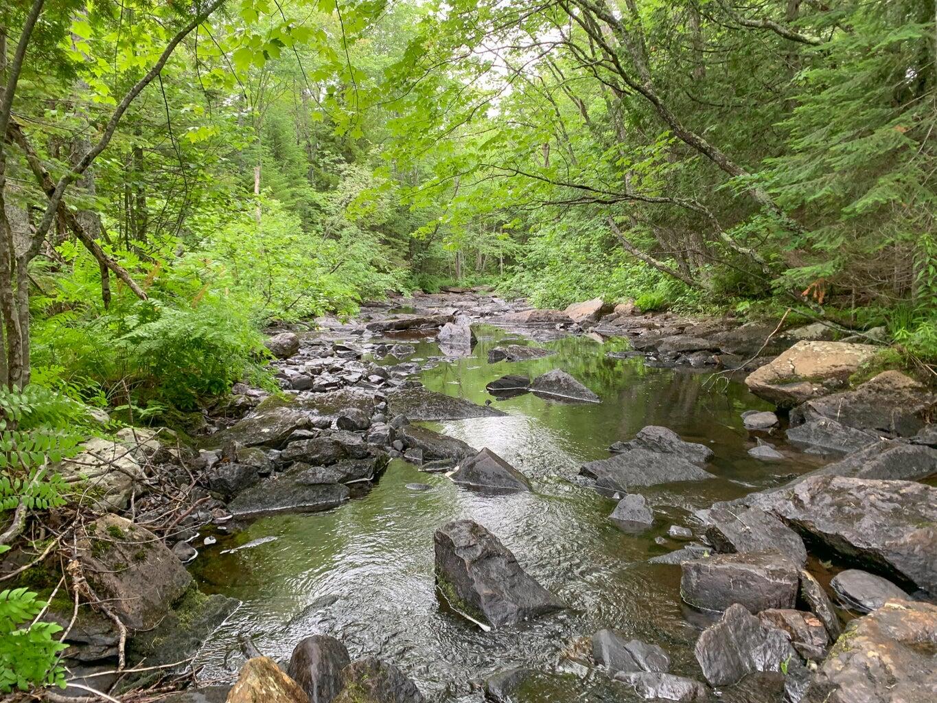 Lot 16 Mill Brook Road Sandy River Plt, ME 04970 - Photo 41 of 44 20221110163009608752000000-o