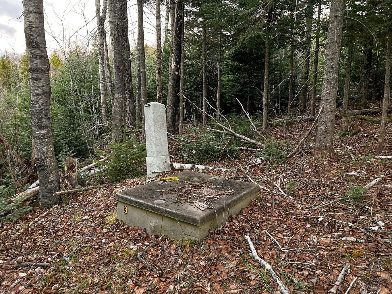 Lot 16 Mill Brook Road Sandy River Plt, ME 04970 - Photo 8 of 44 20221110162754961054000000-o