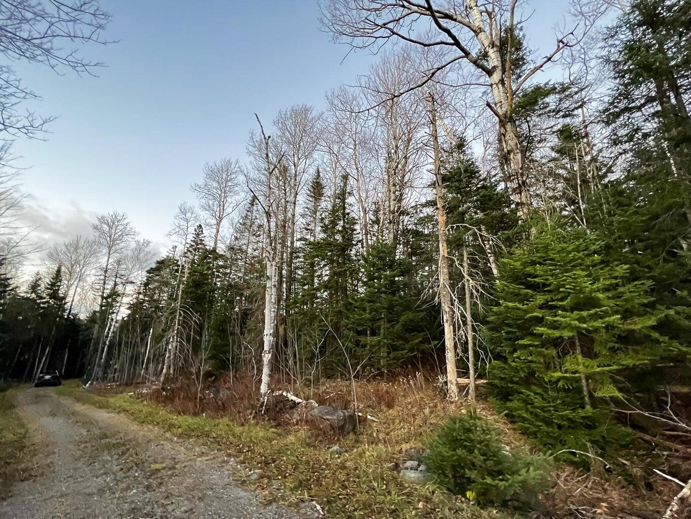Lot 16 Mill Brook Road Sandy River Plt, ME 04970 - Photo 10 of 44 20221110162800118594000000-o