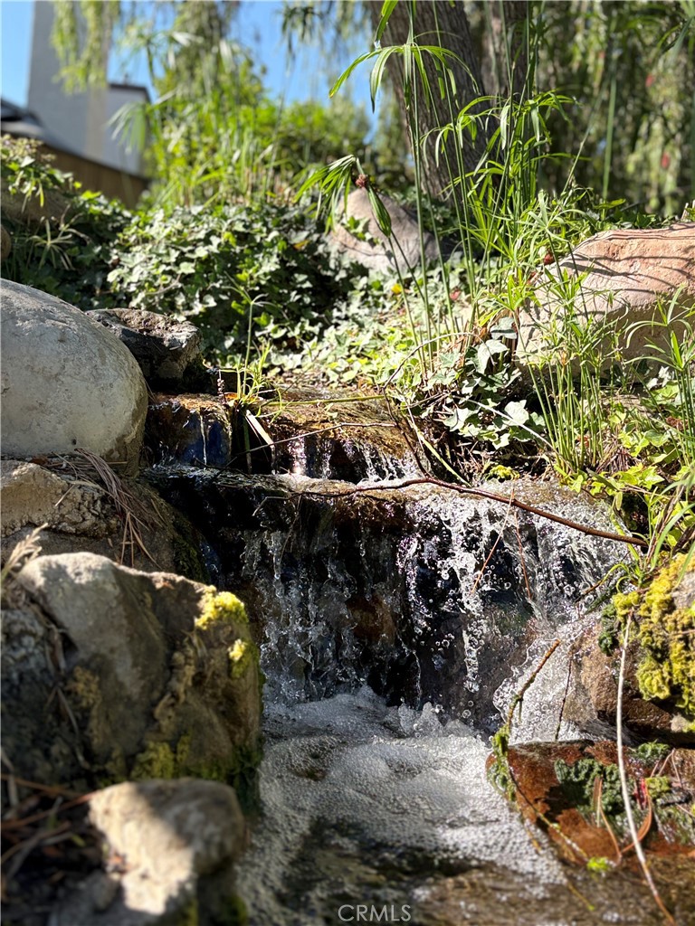 18223 Soledad Canyon Road, Unit 29 Canyon Country, CA 91387 - Photo 23 of 23 a picture of tree