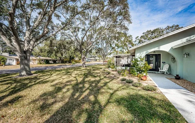 a view of a yard with plants and large trees